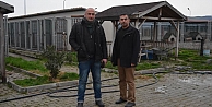 Bafra'da Zehirlenen Sokak Hayvanları