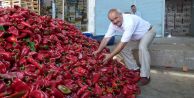 Kırmızı Biber Sebzelerin Lokomotifi Oldu