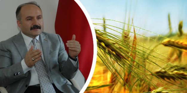 Türkiye’de ki Tarım Sektöründe Verimlilik Çok Düşük.