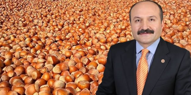 Usta; Fındık Üreticilerin Sorununu Gündeme Taşıdı‏