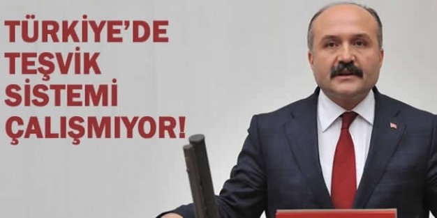 Usta; “Türkiye’de Teşvik Sistemi Çalışmıyor”
