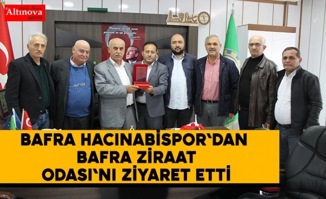 altinova gazetesi