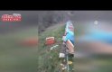 Bafra'da ayı arı kovanlarının çevresinde dolaşırken görüntülendi