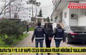 Bafra'da 9 yıl 8 ay hapis cezası bulunan firari hükümlü yakalandı