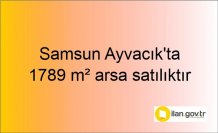 Samsun Ayvacık'ta 1789 m² arsa icradan satılıktır
