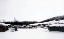 Amasya'nın yüksek kesimlerinde kar etkili oldu