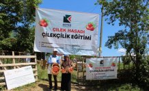 Samsun'da çilek yetiştiriciliği eğitimi düzenlendi