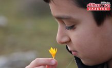 Karabük'te çiğdemler erken çiçek açtı