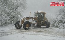Samsun'da kar etkili oldu