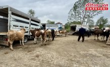 Eflani'de kurbanlık satışları sürüyor