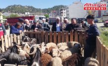 Hanönü ilçesinde hayvan pazarı açıldı