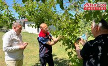 Ladik ilçesinde kahverengi kokarca ile mücadele için doğaya samuray arıcığı salındı