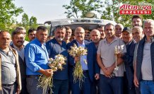 Kastamonu'da hasadın ardından Taşköprü Sarımsak Pazarı açıldı