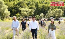 Ladik'te lavanta bahçesi törenle hizmete açıldı