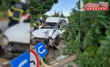 Tokat'ta hafif ticari araç ağaca çarptı, 4 kişi yaralandı