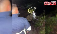 Türkeli'de dereye düşen inek kurtarıldı