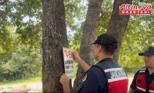 Türkeli'de jandarma ekiplerince ormanlık alanda denetim yapıldı