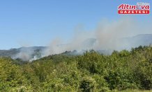 Bartın'da ormanlık alanda çıkan yangına müdahale ediliyor