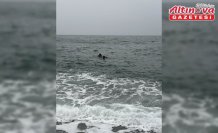 Trabzon'da denizde kaybolduğu iddia edilen çocuk için arama çalışması başlatıldı