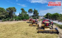 Alaçam'da Çeltik Hasat Festivali düzenlendi