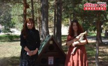 Gümüşhane Üniversitesi'nde “Kedi Evleri“ kuruldu