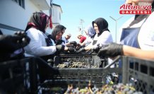 Ordu'nun tescilli üzüm suyu sofraları lezzetlendiriyor