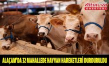 Alaçam'da 32 mahallede hayvan hareketleri durduruldu