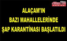 Alaçam'ın bazı mahallelerinde şap karantinası başlatıldı