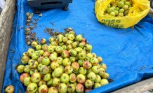Bayburt’ta yöresel yiyecekler tezgahlardaki yerini aldı