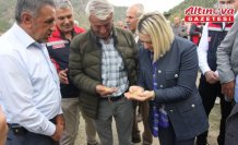 Kastamonu'da Dezavantajlı Alanlar Projesi kapsamında ekilen çeltiğin hasadı başladı