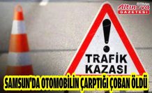 Samsun'da otomobilin çarptığı çoban öldü