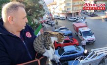 Sungurlu'da çatıda mahsur kalan kedi itfaiye ekiplerince kurtarıldı