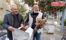Amasya'da yaralı bulunan kızıl şahin koruma altına alındı