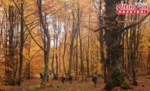 Amasya'daki İnegöl Dağları hazan renklerine büründü