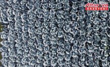 Bafra Ovası'nda kırmızı lahana hasadı başladı