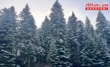 Bolu'nun yüksek kesimlerine kar yağdı