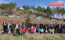 İskilip'te 200 fidan toprakla buluşturuldu