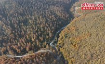 Sinop'ta sonbahar renkleri görsel şölen sunuyor