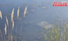 Tokat'ta gölete düşen otomobilin sürücüsü yaralandı