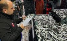 Türkeli'de avlanan hamsi ile ilgili denetimler sürüyor