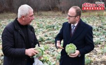 Alucra Kaymakamı Azman'dan pancar üreticilerine ziyaret