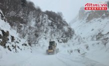 Artvin'de çığ meydana geldi