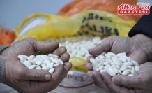 Tescilli Gürgentepe çoban fasulyesinde 'alım garantili üretim' modeli uygulandı