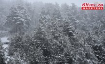 Zigana Dağı'nda kar etkili oldu