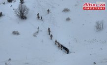 Artvin'de çığ altında kalan 2 kişiyi arama çalışmaları sürüyor