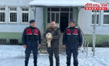 Giresun'da yaralı bulunan kızıl şahin tedavi altına alındı