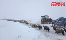 Artvin'de çığ düştü