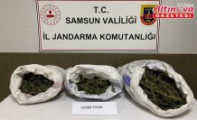 Samsun'da uyuşturucu operasyonlarında 7 şüpheli yakalandı