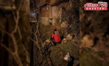 Tokat'ta korkuluklara sıkışan köpek itfaiyece kurtarıldı