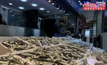 Trabzon'da balıkçı tezgahlarında hamsi ve istavrit ilgi görüyor